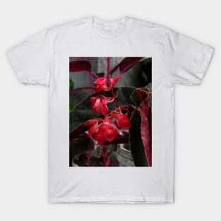 red flower in the garden T-Shirt